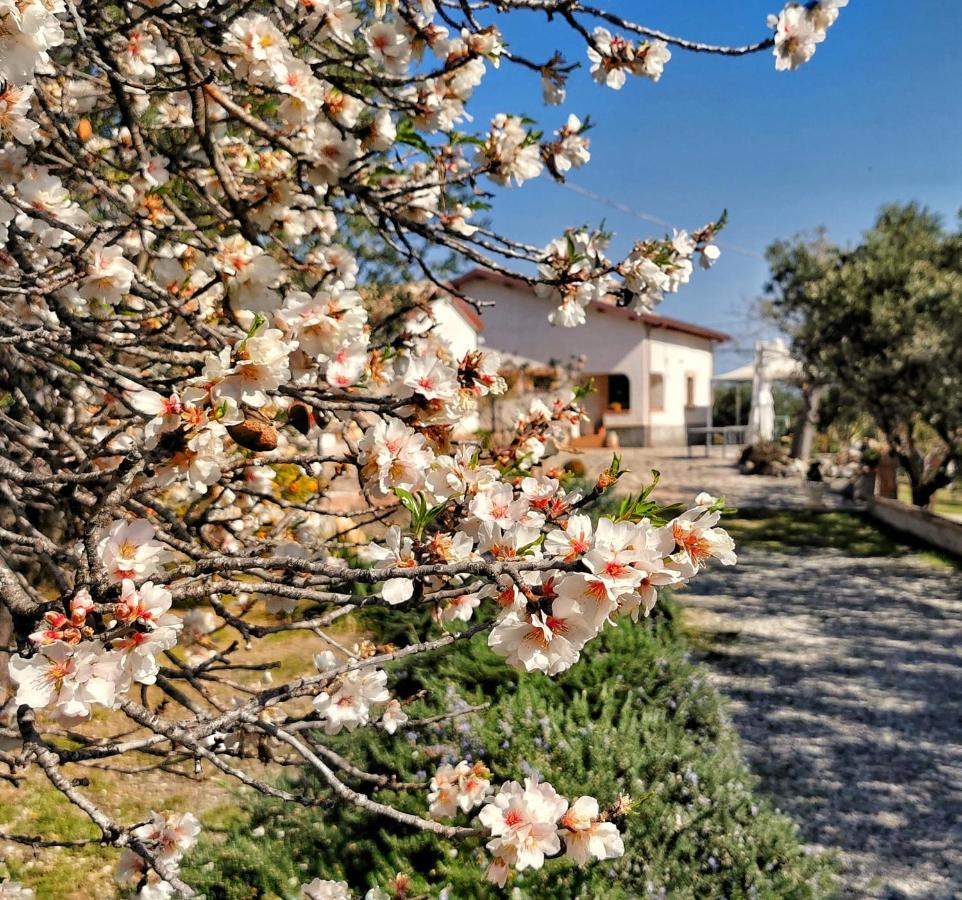 Borgo Santa Lucia Villa Cropani Buitenkant foto